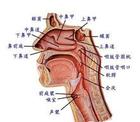 鼻咽癌早期信号：鼻涕带血