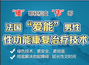 法国爱能术